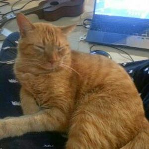 Meet your Posher, Jason